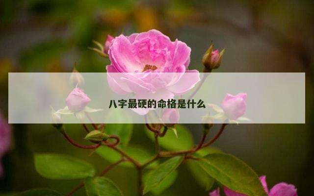 八字最硬的命格是什么