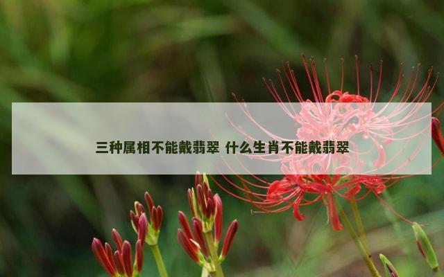 三种属相不能戴翡翠 什么生肖不能戴翡翠