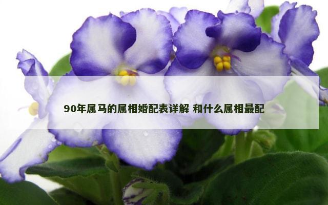 90年属马的属相婚配表详解 和什么属相最配