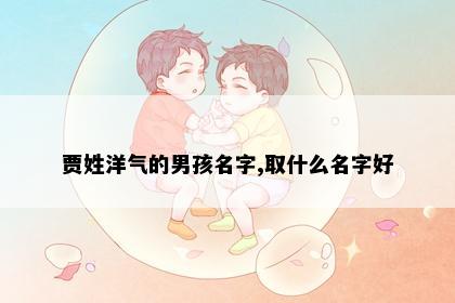 贾姓洋气的男孩名字,取什么名字好