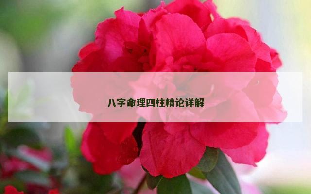 八字命理四柱精论详解