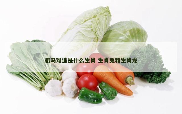 驷马难追是什么生肖 生肖兔和生肖龙