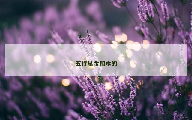 五行属金和木的