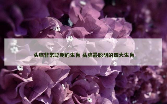 头脑非常聪明的生肖 头脑最聪明的四大生肖