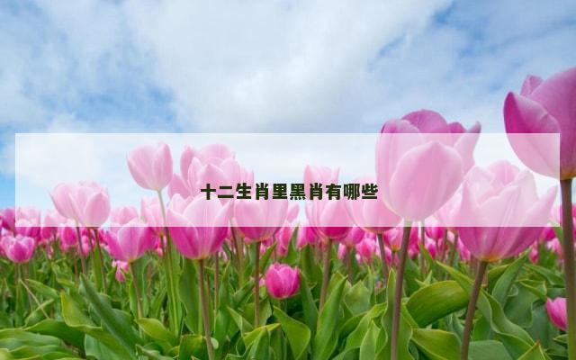 十二生肖里黑肖有哪些