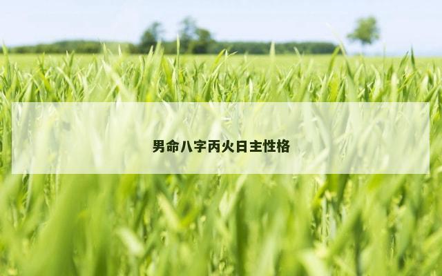 男命八字丙火日主性格