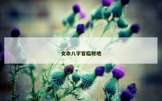 女命八字官临财地
