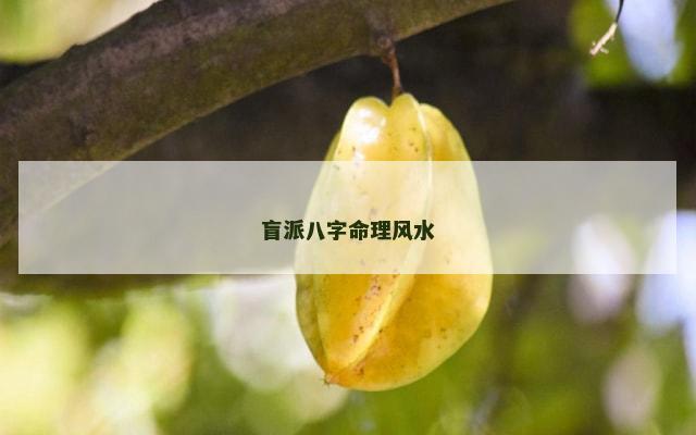 盲派八字命理风水