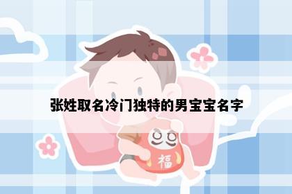 张姓取名冷门独特的男宝宝名字