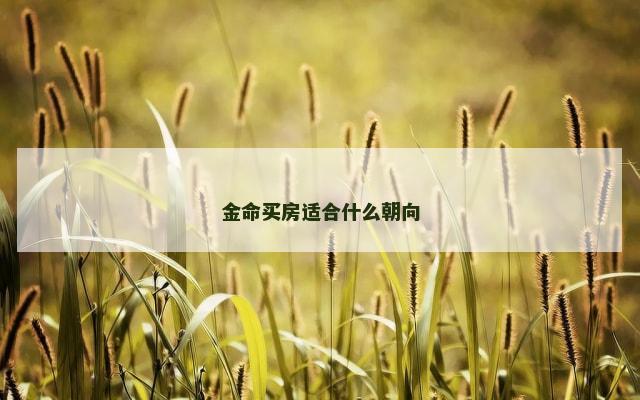 金命买房适合什么朝向
