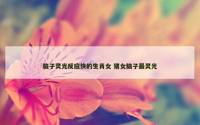 脑子灵光反应快的生肖女 猪女脑子最灵光