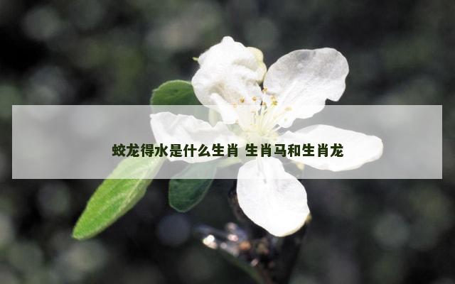 蛟龙得水是什么生肖 生肖马和生肖龙