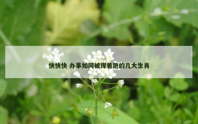 快快快 办事如同被撵着跑的几大生肖