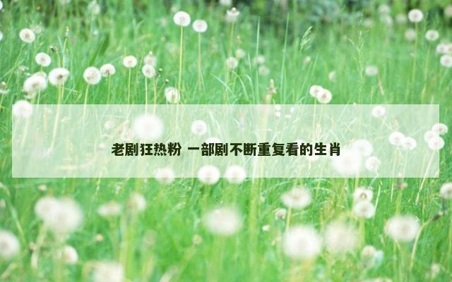 老剧狂热粉 一部剧不断重复看的生肖