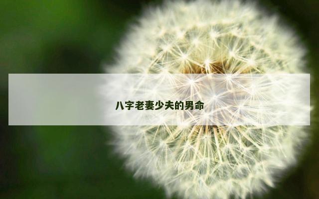 八字老妻少夫的男命