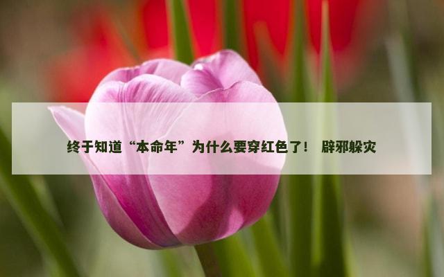终于知道“本命年”为什么要穿红色了！ 辟邪躲灾