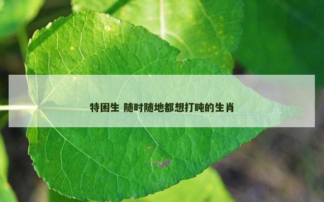特困生 随时随地都想打盹的生肖