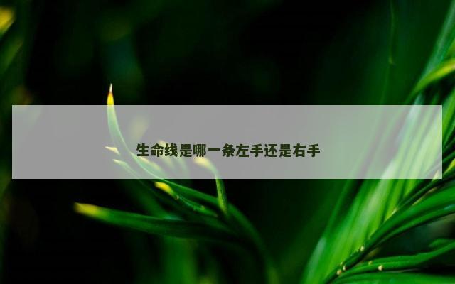 生命线是哪一条左手还是右手