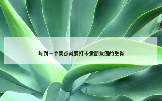 每到一个景点就要打卡发朋友圈的生肖