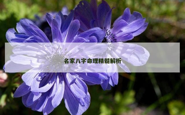 名家八字命理精髓解析