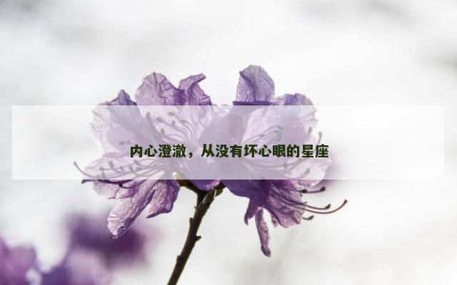 内心澄澈，从没有坏心眼的星座