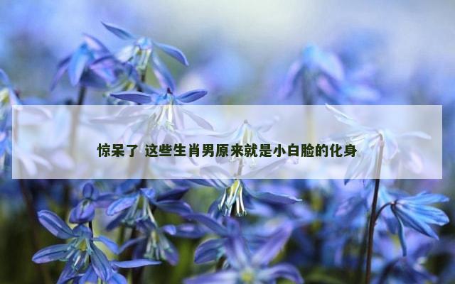 惊呆了 这些生肖男原来就是小白脸的化身