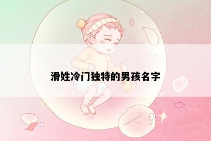 滑姓冷门独特的男孩名字