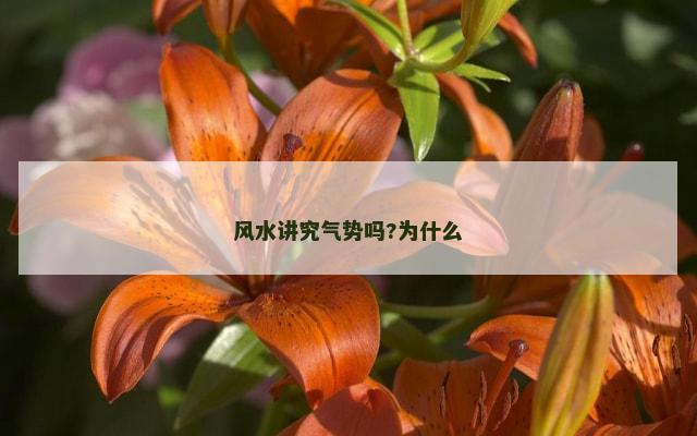 风水讲究气势吗?为什么