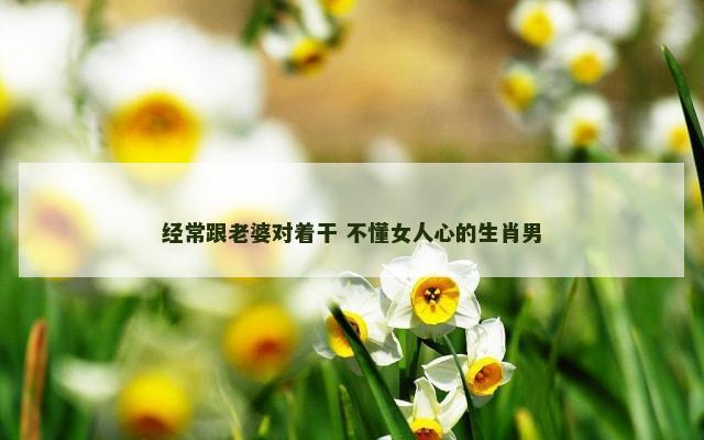 经常跟老婆对着干 不懂女人心的生肖男
