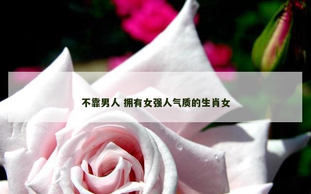 不靠男人 拥有女强人气质的生肖女