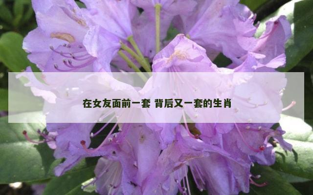 在女友面前一套 背后又一套的生肖