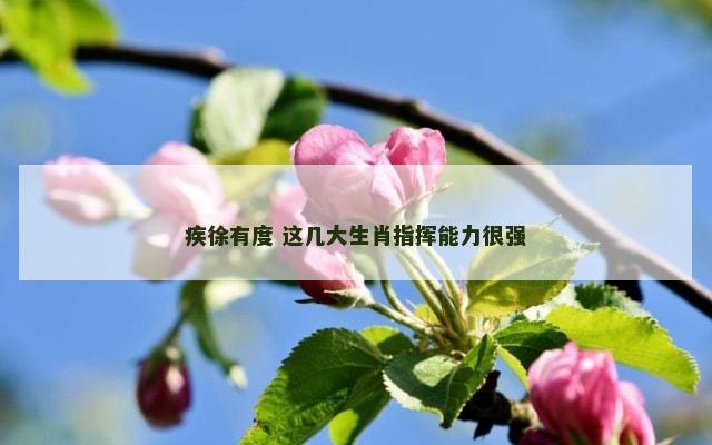 疾徐有度 这几大生肖指挥能力很强