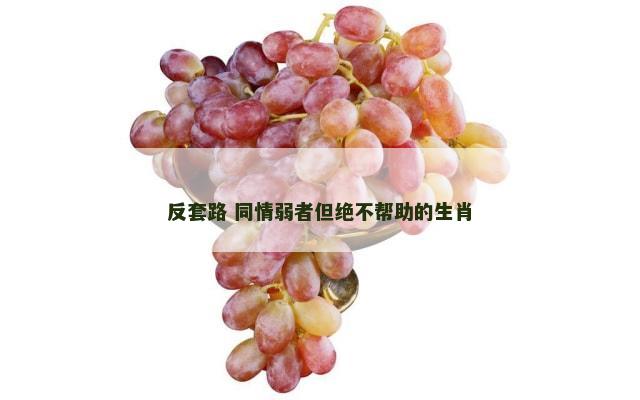 反套路 同情弱者但绝不帮助的生肖