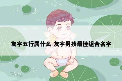 友字五行属什么 友字男孩最佳组合名字