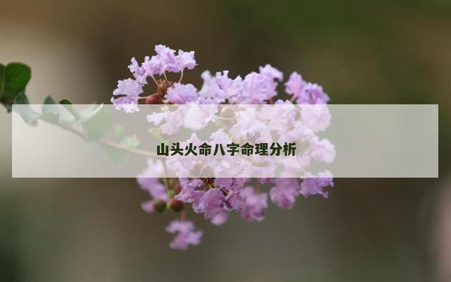 山头火命八字命理分析