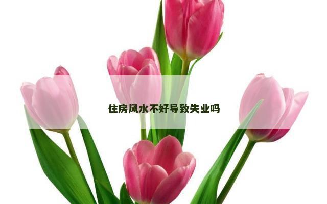 住房风水不好导致失业吗