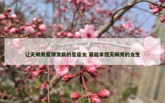 让天蝎男爱得发疯的星座女 最能拿捏天蝎男的女生