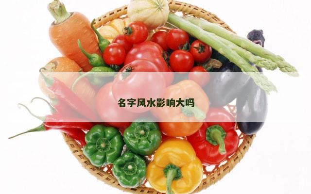 名字风水影响大吗
