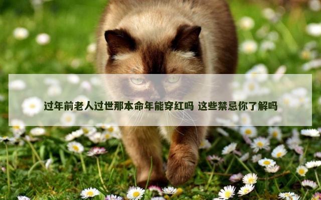 过年前老人过世那本命年能穿红吗 这些禁忌你了解吗