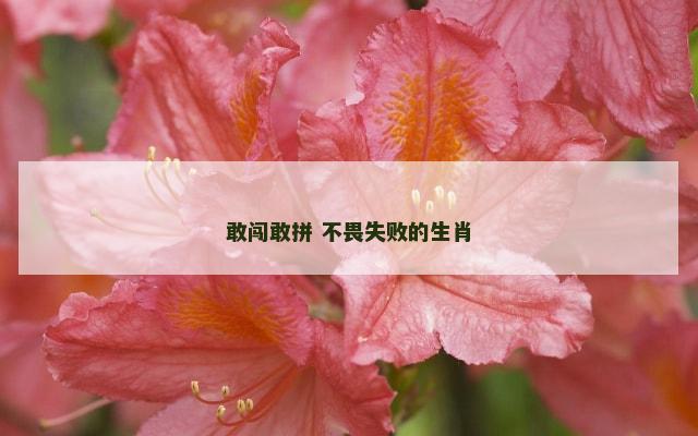 敢闯敢拼 不畏失败的生肖