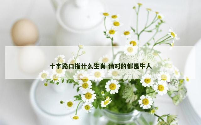 十字路口指什么生肖 猜对的都是牛人