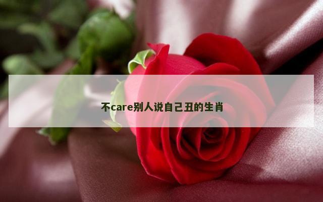 不care别人说自己丑的生肖