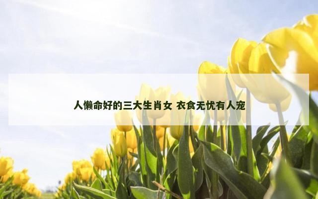 人懒命好的三大生肖女 衣食无忧有人宠