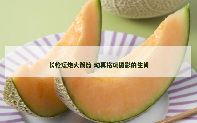 长枪短炮火箭筒 动真格玩摄影的生肖