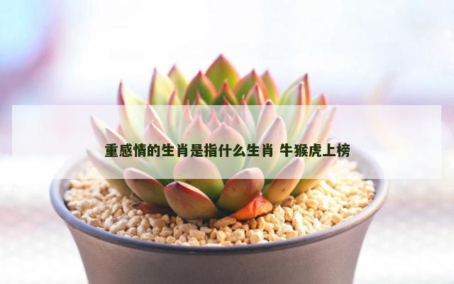 重感情的生肖是指什么生肖 牛猴虎上榜
