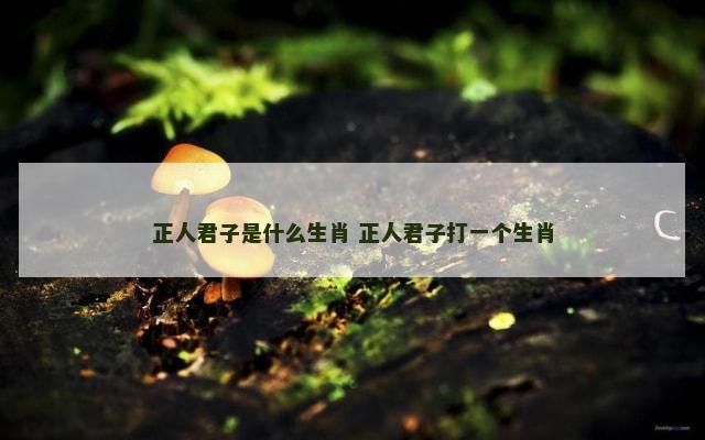 正人君子是什么生肖 正人君子打一个生肖