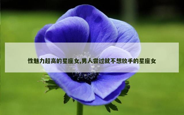 性魅力超高的星座女,男人尝过就不想放手的星座女