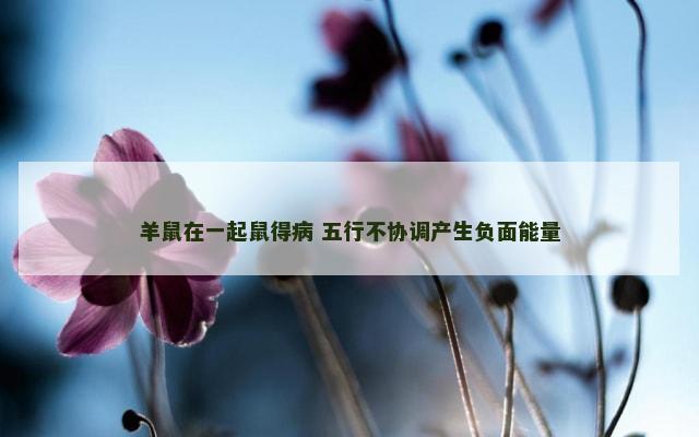羊鼠在一起鼠得病 五行不协调产生负面能量