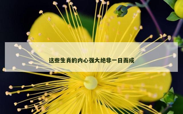 这些生肖的内心强大绝非一日而成