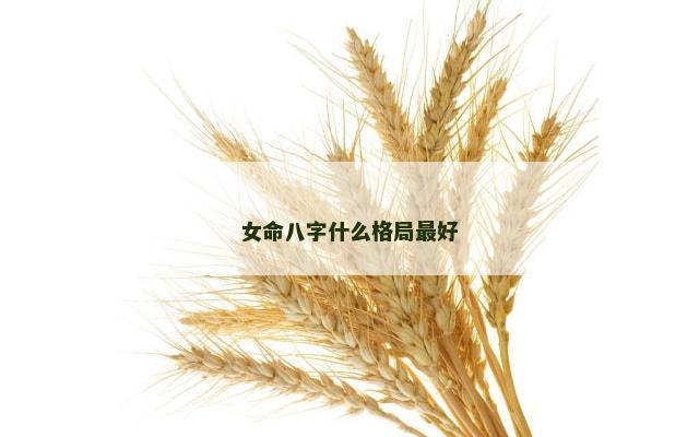 女命八字什么格局最好